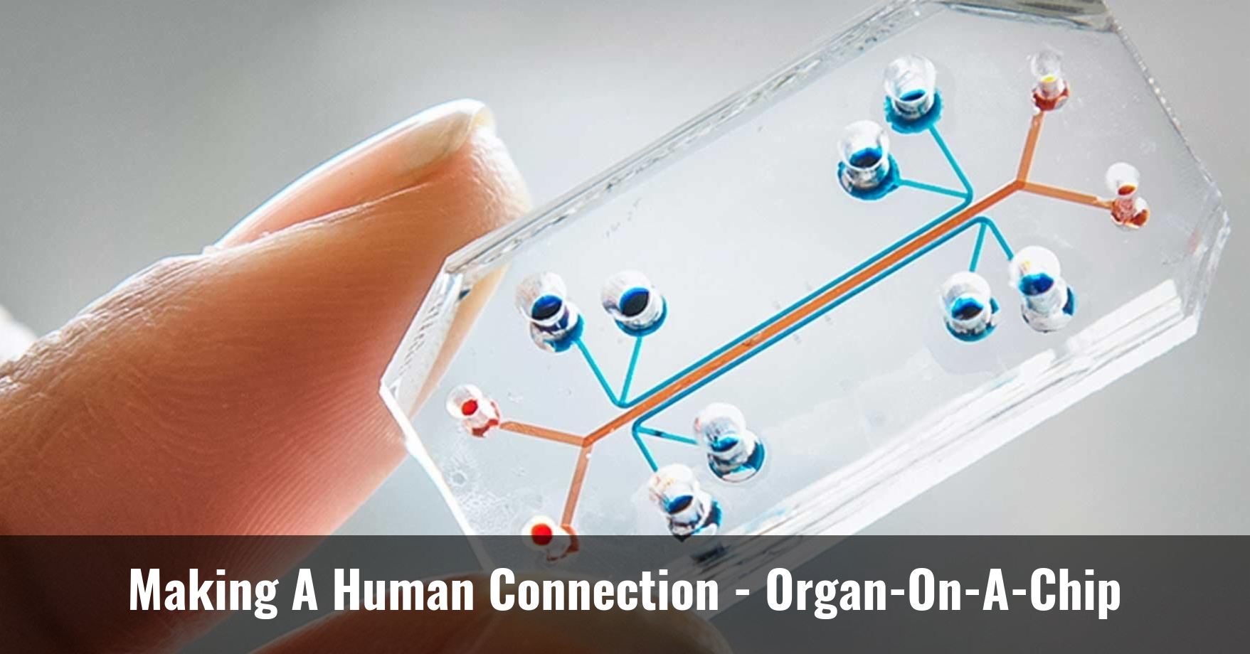 Making A Human Connection Cytosolve Research Development Testing