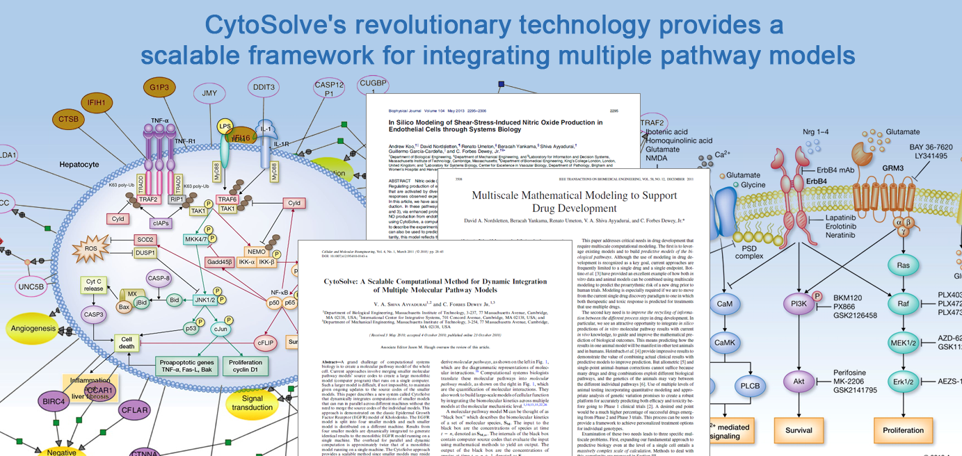 Banner Slide Cytosolve Research Development Testing Of