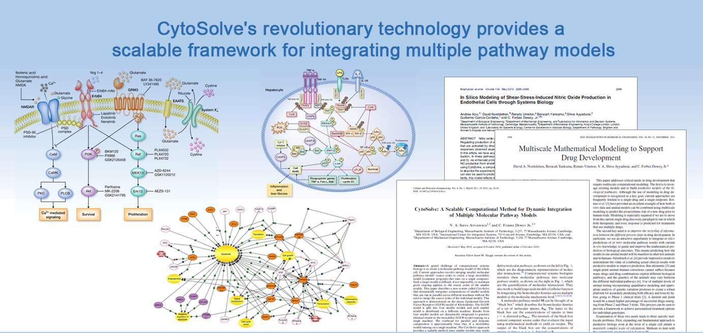 Banner Slide3 Cytosolve Research Development Testing Of