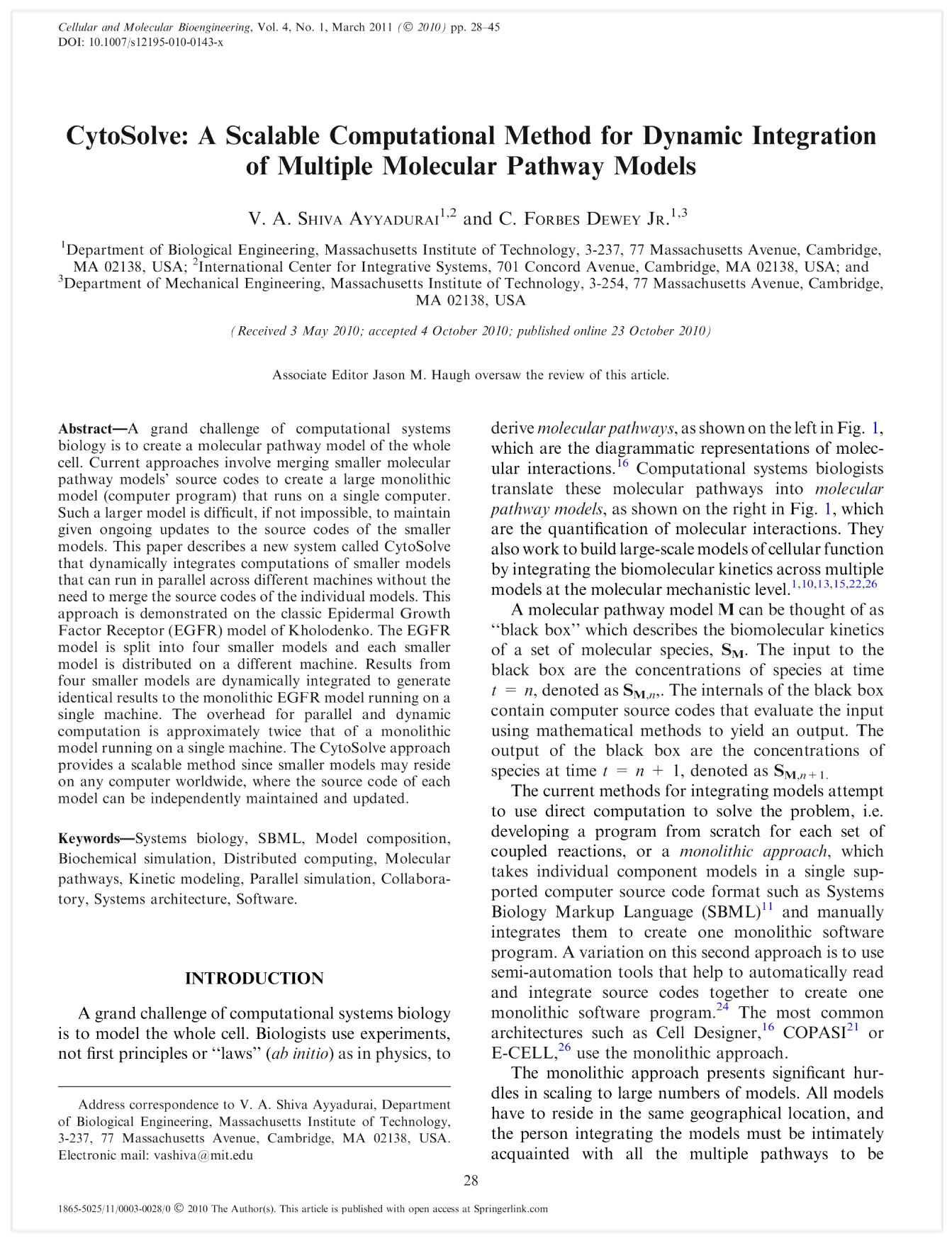 Cellular and Molecular Bioengineering</br>2010